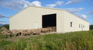 Prefabricated Steel Farm Buildings