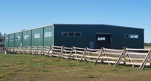 How To Build A Horse Shelter