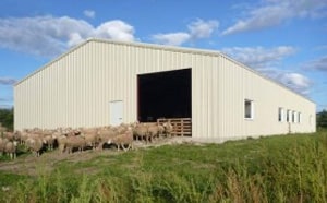 What to Include in an Indoor Riding Arena