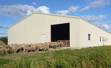 Steel Farm Buildings vs Wooden Buildings: Combating Mold & Fungus