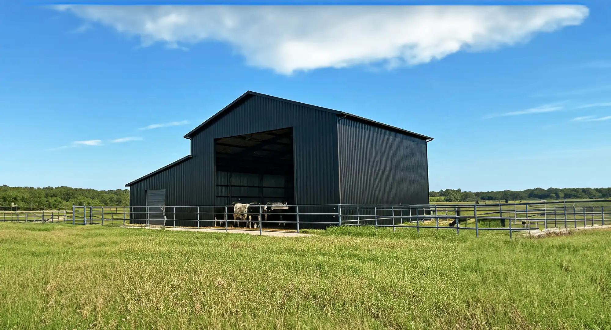 Black Prefabricated Steel Building Agriculture Steel Buildings in Idaho