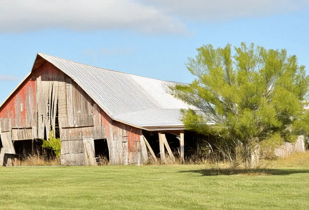 Pole vs Steel Barn